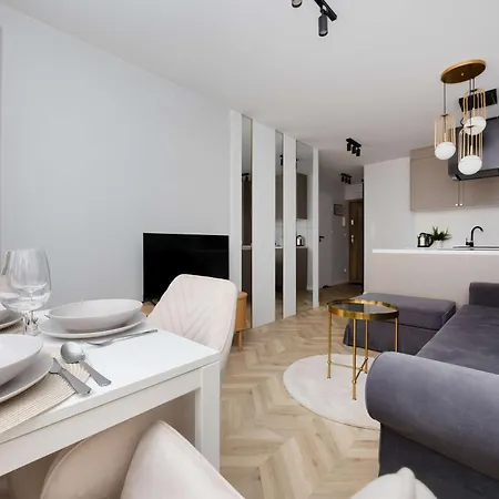 דירה Cosy In The Centre Remote Work By Renters ורשה